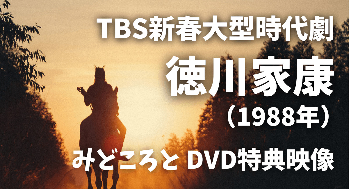 TBS新春大型時代劇『徳川家康』1988年
