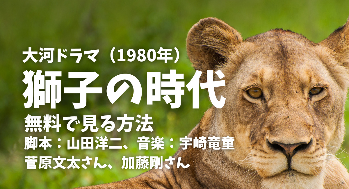 1980年大河ドラマ「獅子の時代」