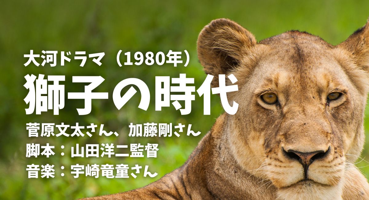 1980年大河ドラマ「獅子の時代」