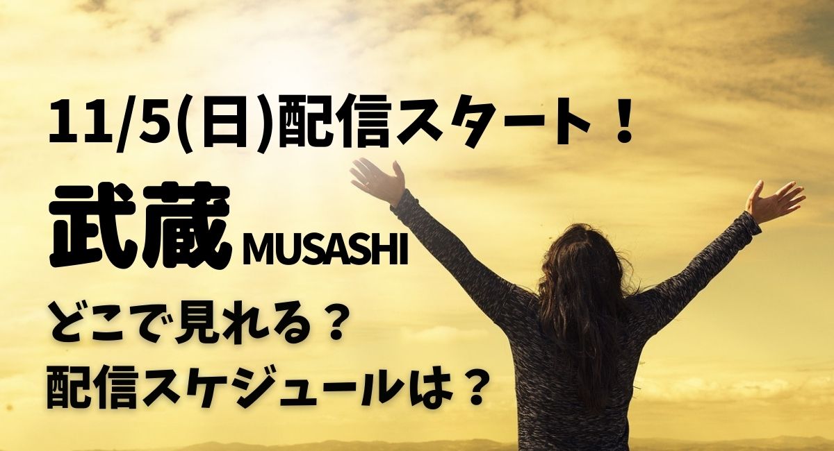 大河ドラマ【武蔵 MUSASHI】11月5日(日)から配信スタート!どこで見れる?動画配信スケジュールは? | ドラマにほへと