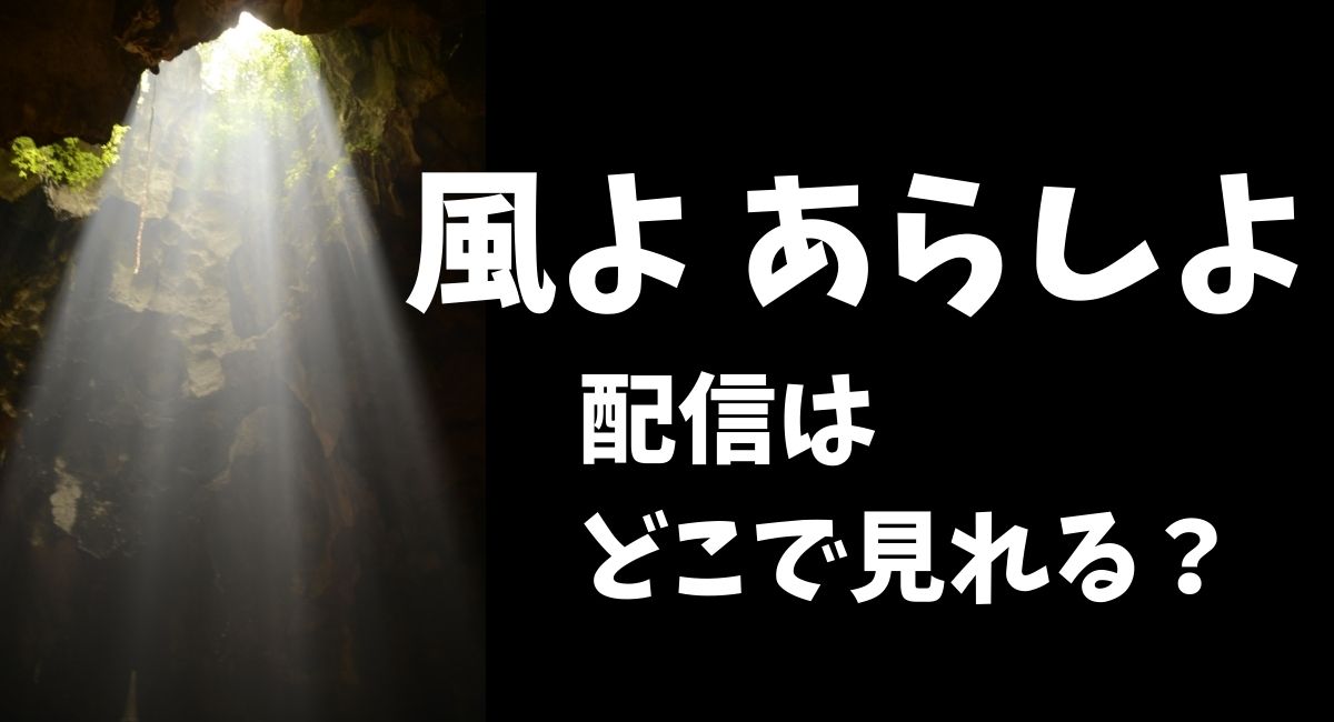 「風よあらしよ」配信はどこで見られる