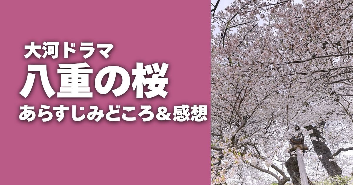 大河ドラマ『八重の桜』