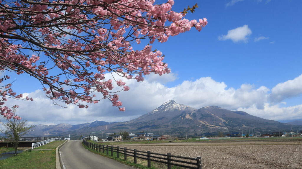 磐梯山と桜