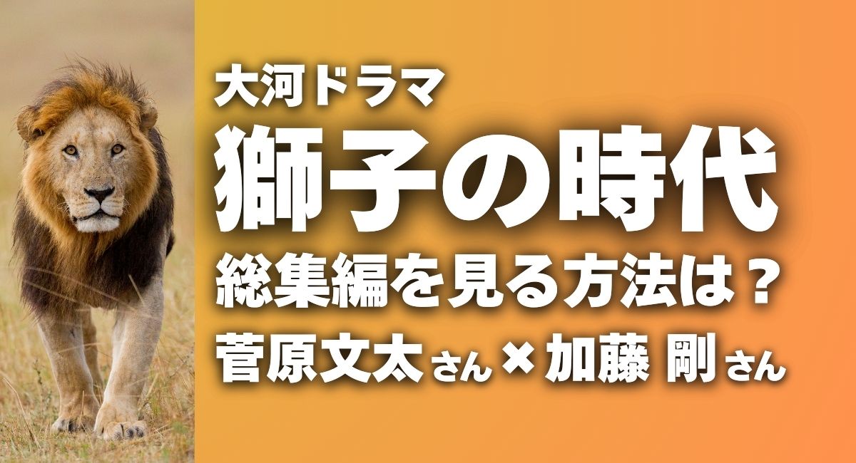 『獅子の時代』総集編を見る方法は？