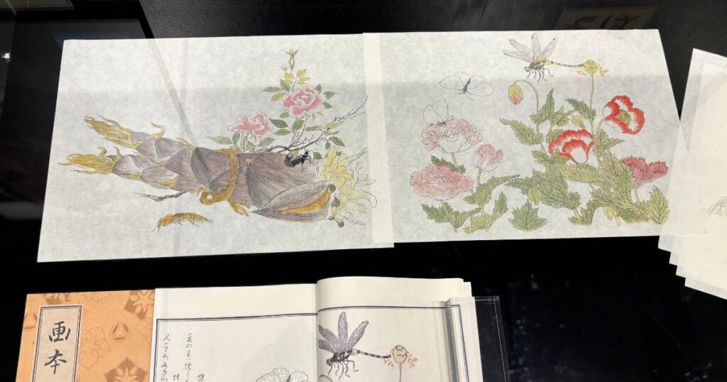 歌麿『画本虫撰』の下絵