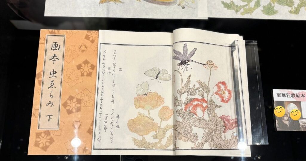 『画本虫撰』べらぼう撮影小道具