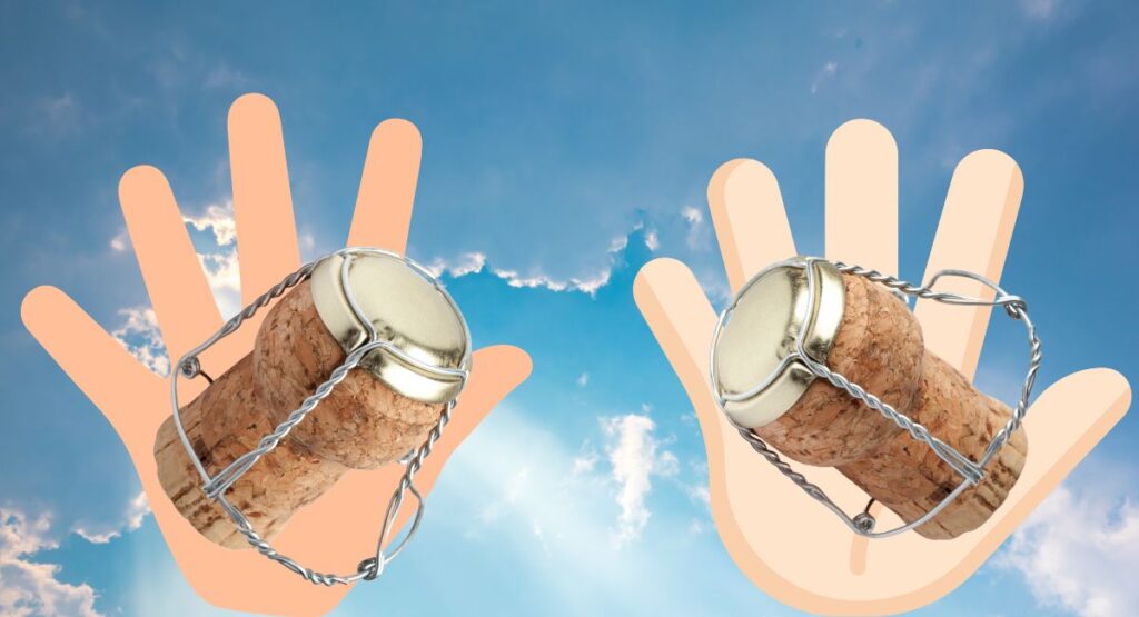 かっちゃんととしの大事なもの