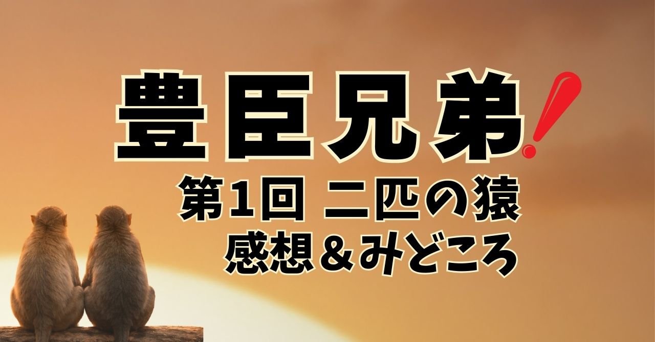 大河ドラマ『豊臣兄弟！』第1回”二匹の猿”
