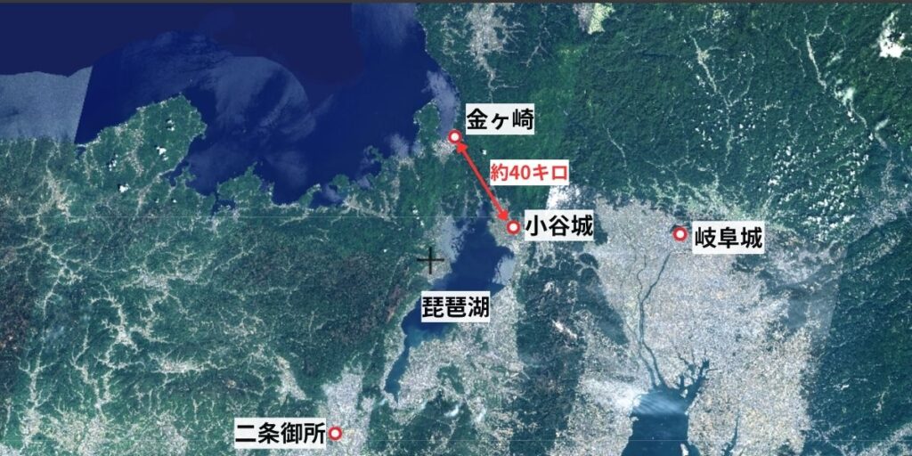 『豊臣兄弟！』13話で登場する小谷城と金ヶ崎の位置関係：国土地理院地図