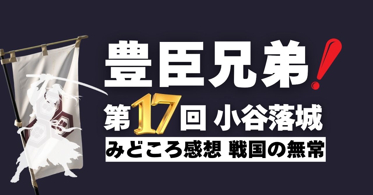 『豊臣兄弟！』第17回「小谷落城」