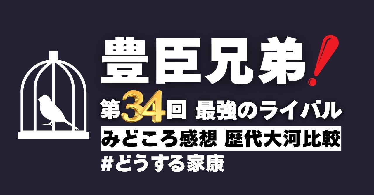 『豊臣兄弟！』第34回”最強のライバル”
