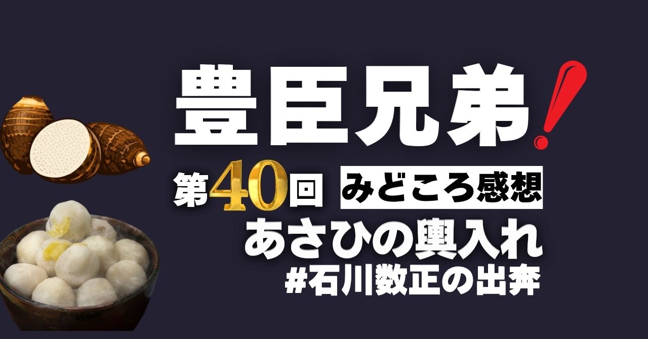『豊臣兄弟！』第40回”あさひの輿入れ”